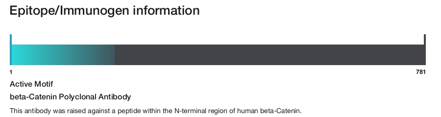 beta-Catenin Polyclonal Antibody