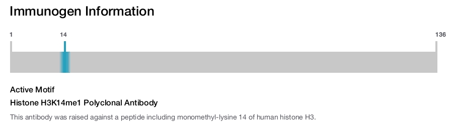 Histone H3K14me1 Polyclonal Antibody