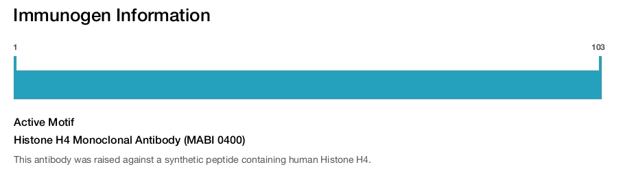 Histone H4 Monoclonal Antibody (MABI 0400)
