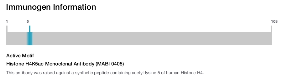 Histone H4K5ac Monoclonal Antibody (MABI 0405)