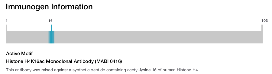 Histone H4K16ac Monoclonal Antibody (MABI 0416)