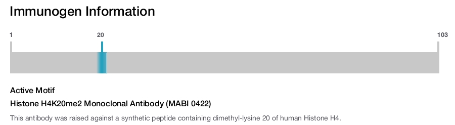 Histone H4K20me2 Monoclonal Antibody (MABI 0422)