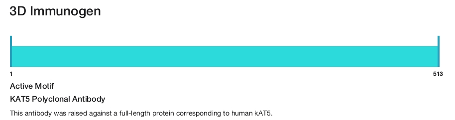 KAT5 Polyclonal Antibody