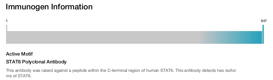 STAT6 Polyclonal Antibody