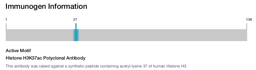 Histone H3K37ac Polyclonal Antibody