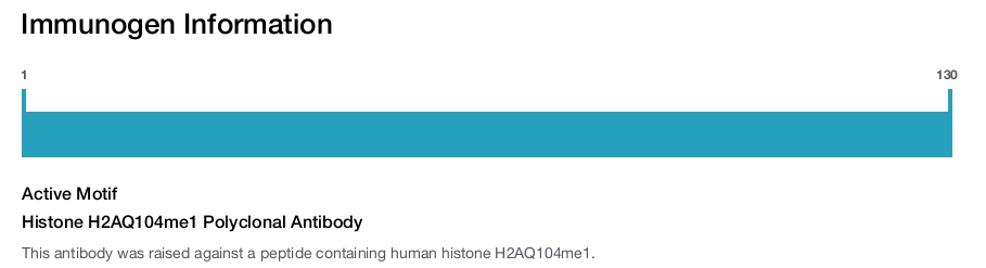 Histone H2AQ104me1 Polyclonal Antibody