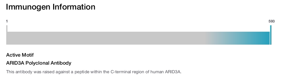 ARID3A Polyclonal Antibody