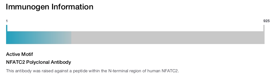 NFATC2 Polyclonal Antibody