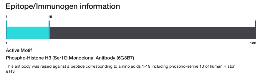 Phospho-Histone H3 (Ser10) Monoclonal Antibody (6G8B7)