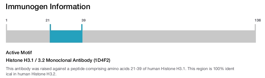 Histone H3.1 / 3.2 Monoclonal Antibody (1D4F2)