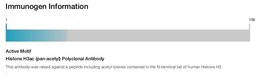 Histone H3ac (pan-acetyl) Polyclonal Antibody