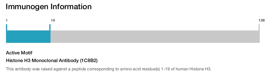 Histone H3 Monoclonal Antibody (1C8B2)
