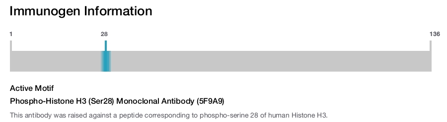 Phospho-Histone H3 (Ser28) Monoclonal Antibody (5F9A9)