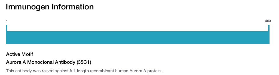 Aurora A Monoclonal Antibody (35C1)