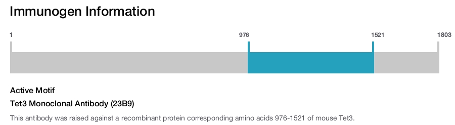 Tet3 Monoclonal Antibody (23B9)