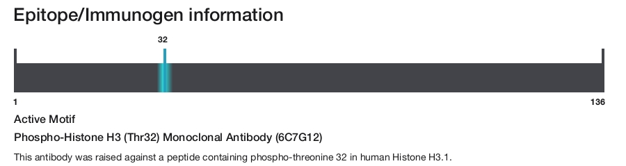 Phospho-Histone H3 (Thr32) Monoclonal Antibody (6C7G12)