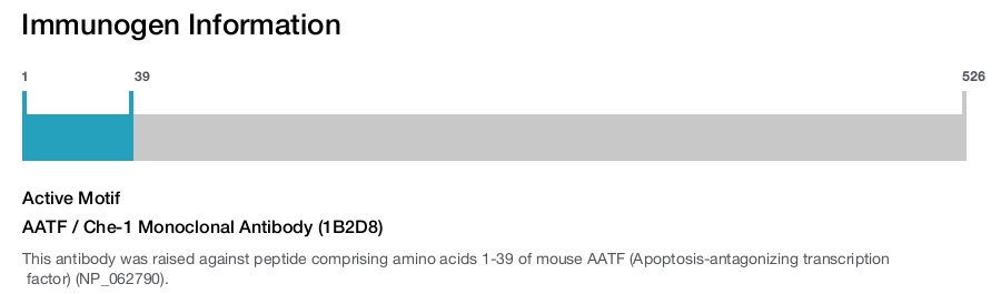 AATF / Che-1 Monoclonal Antibody (1B2D8)