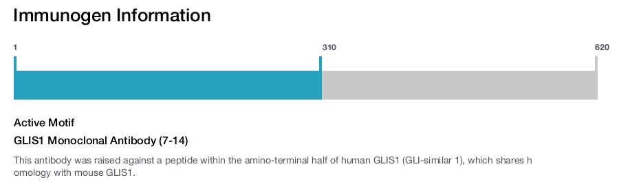 GLIS1 Monoclonal Antibody (7-14)