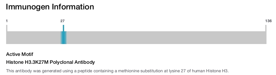 Histone H3.3K27M Polyclonal Antibody