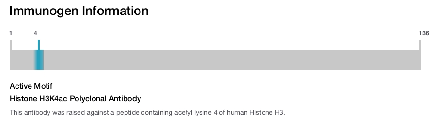 Histone H3K4ac Polyclonal Antibody