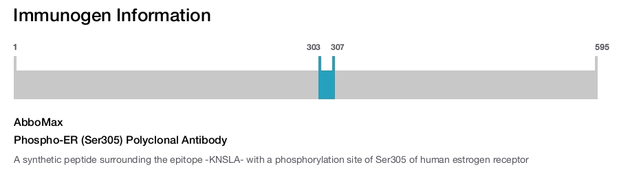 Phospho-ER (Ser305) Polyclonal Antibody