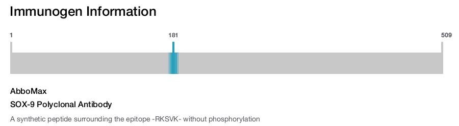 SOX-9 Polyclonal Antibody