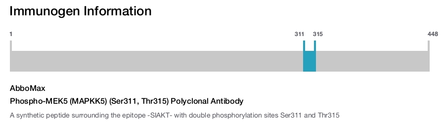 Phospho-MEK5 (MAPKK5) (Ser311, Thr315) Polyclonal Antibody