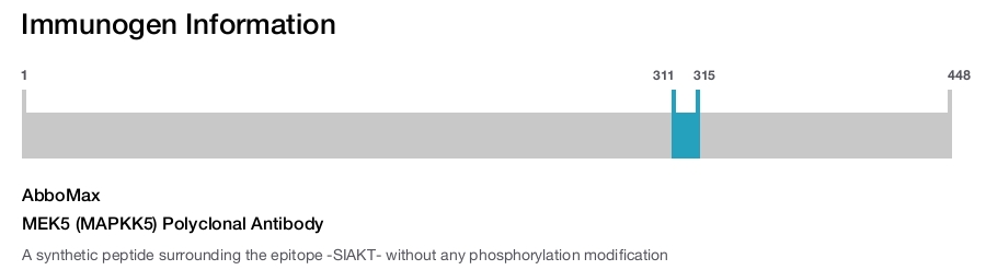 MEK5 (MAPKK5) Polyclonal Antibody