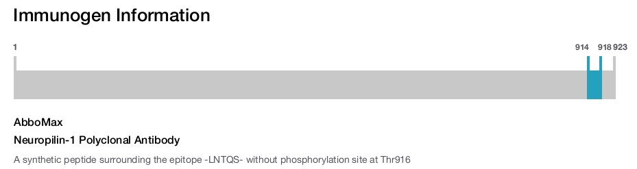 Neuropilin-1 Polyclonal Antibody