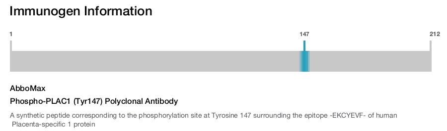 Phospho-PLAC1 (Tyr147) Polyclonal Antibody