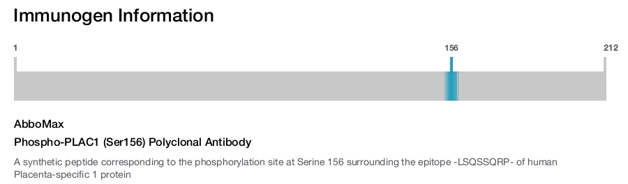 Phospho-PLAC1 (Ser156) Polyclonal Antibody