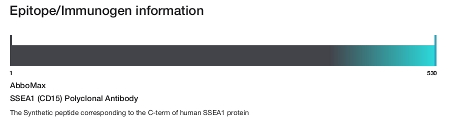 SSEA1 (CD15) Polyclonal Antibody