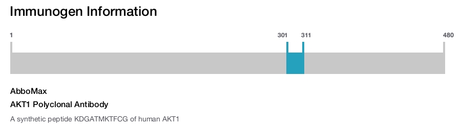 AKT1 Polyclonal Antibody