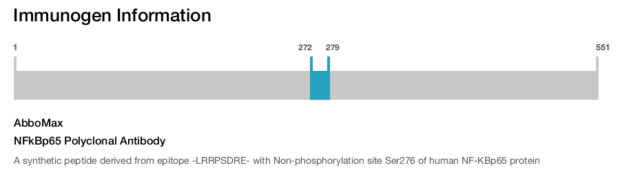 NFkBp65 Polyclonal Antibody