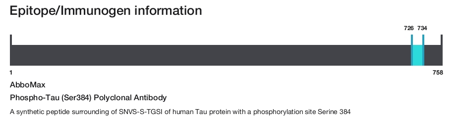 Phospho-Tau (Ser384) Polyclonal Antibody