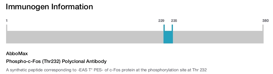 Phospho-c-Fos (Thr232) Polyclonal Antibody