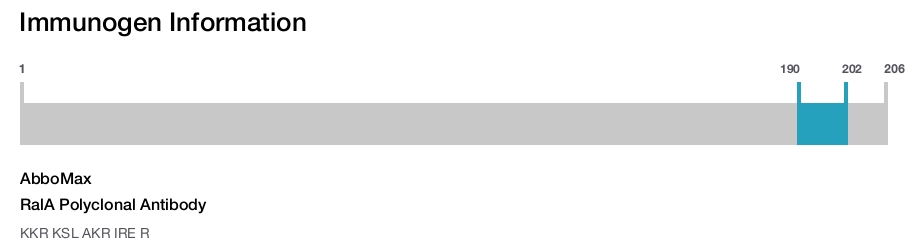 RalA Polyclonal Antibody