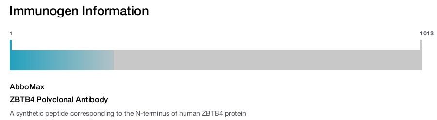 ZBTB4 Polyclonal Antibody
