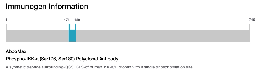 Phospho-IKK-a (Ser176, Ser180) Polyclonal Antibody