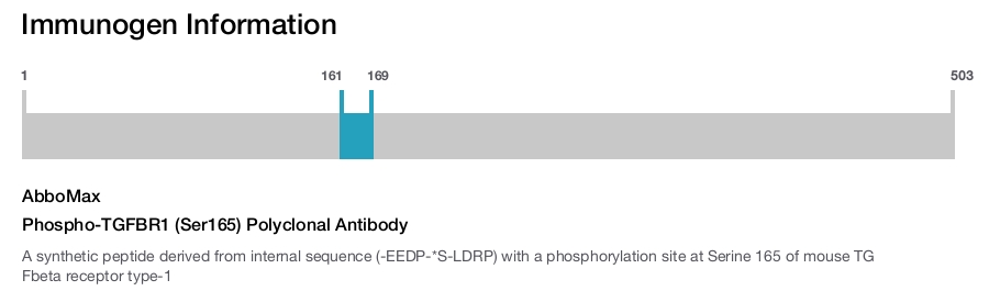 Phospho-TGFBR1 (Ser165) Polyclonal Antibody