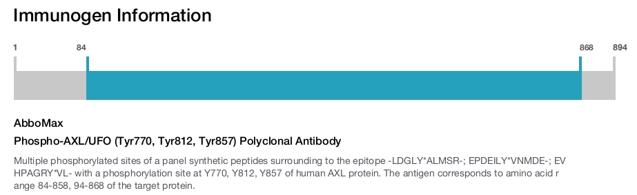 Phospho-AXL/UFO (Tyr770, Tyr812, Tyr857) Polyclonal Antibody