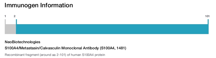 S100A4/Metastasin/Calvasculin Monoclonal Antibody (S100A4, 1481)