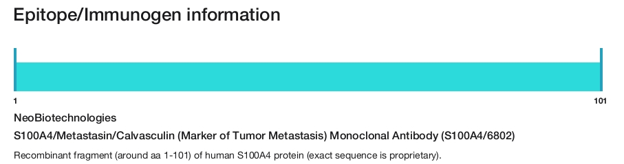 S100A4/Metastasin/Calvasculin (Marker of Tumor Metastasis) Monoclonal Antibody (S100A4/6802)
