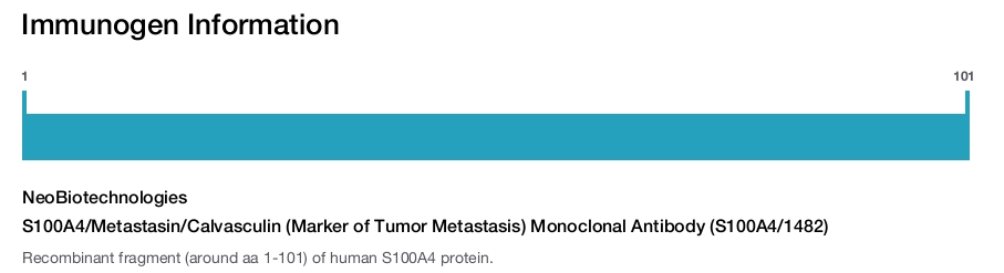 S100A4/Metastasin/Calvasculin (Marker of Tumor Metastasis) Monoclonal Antibody (S100A4/1482)