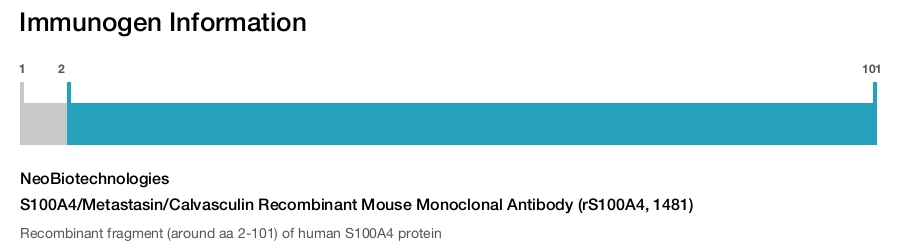 S100A4/Metastasin/Calvasculin Recombinant Mouse Monoclonal Antibody (rS100A4, 1481)