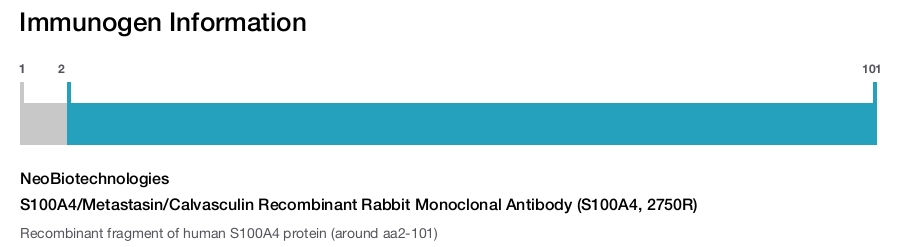 S100A4/Metastasin/Calvasculin Recombinant Rabbit Monoclonal Antibody (S100A4, 2750R)