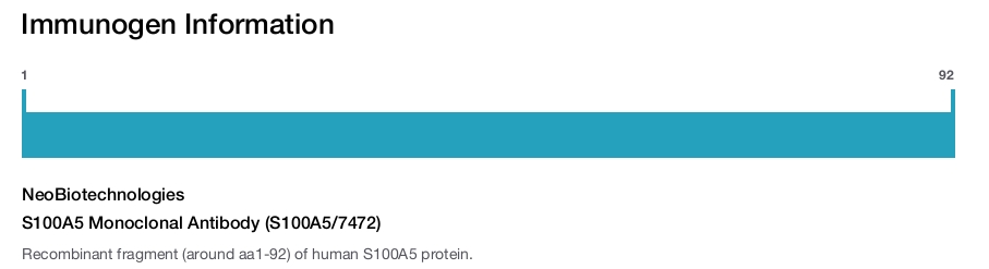 S100A5 Monoclonal Antibody (S100A5/7472)