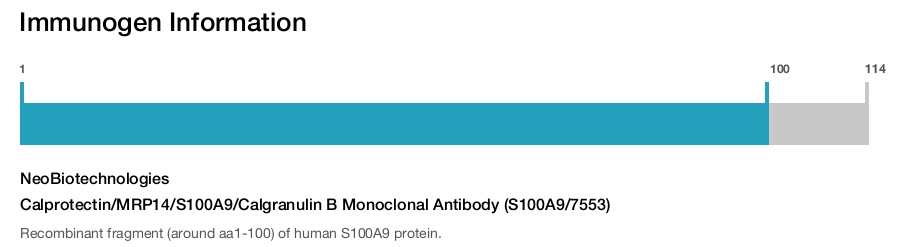 Calprotectin/MRP14/S100A9/Calgranulin B Monoclonal Antibody (S100A9/7553)