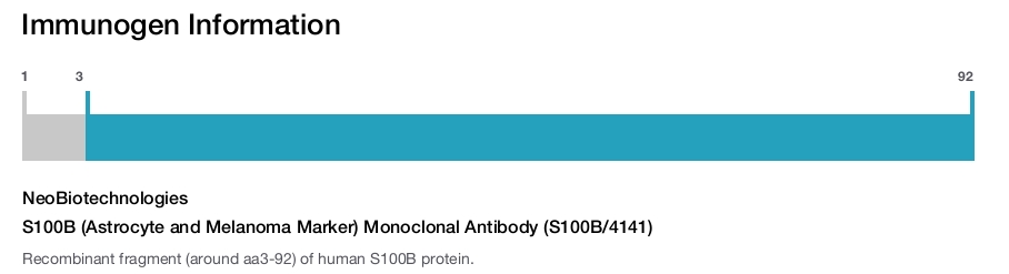 S100B (Astrocyte and Melanoma Marker) Monoclonal Antibody (S100B/4141)