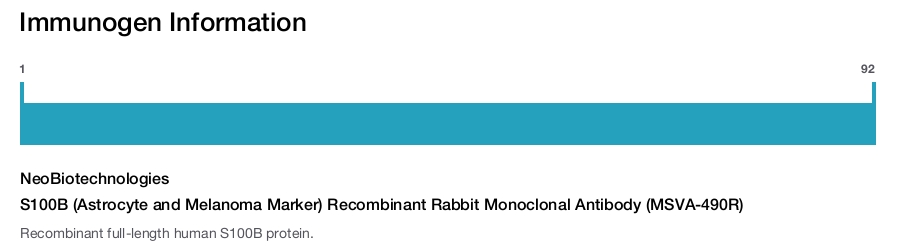 S100B (Astrocyte and Melanoma Marker) Recombinant Rabbit Monoclonal Antibody (MSVA-490R)